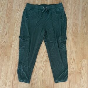 Banana Republic Green Women’s Pants